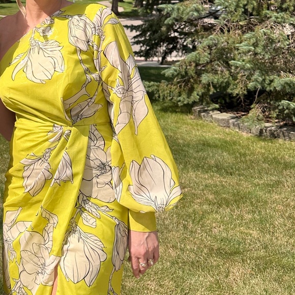 Dresses & Skirts - ZAIN BOUTIQUE dress